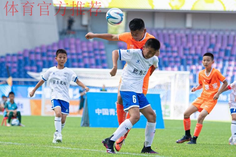 中国足协主席总结2024年足球工作